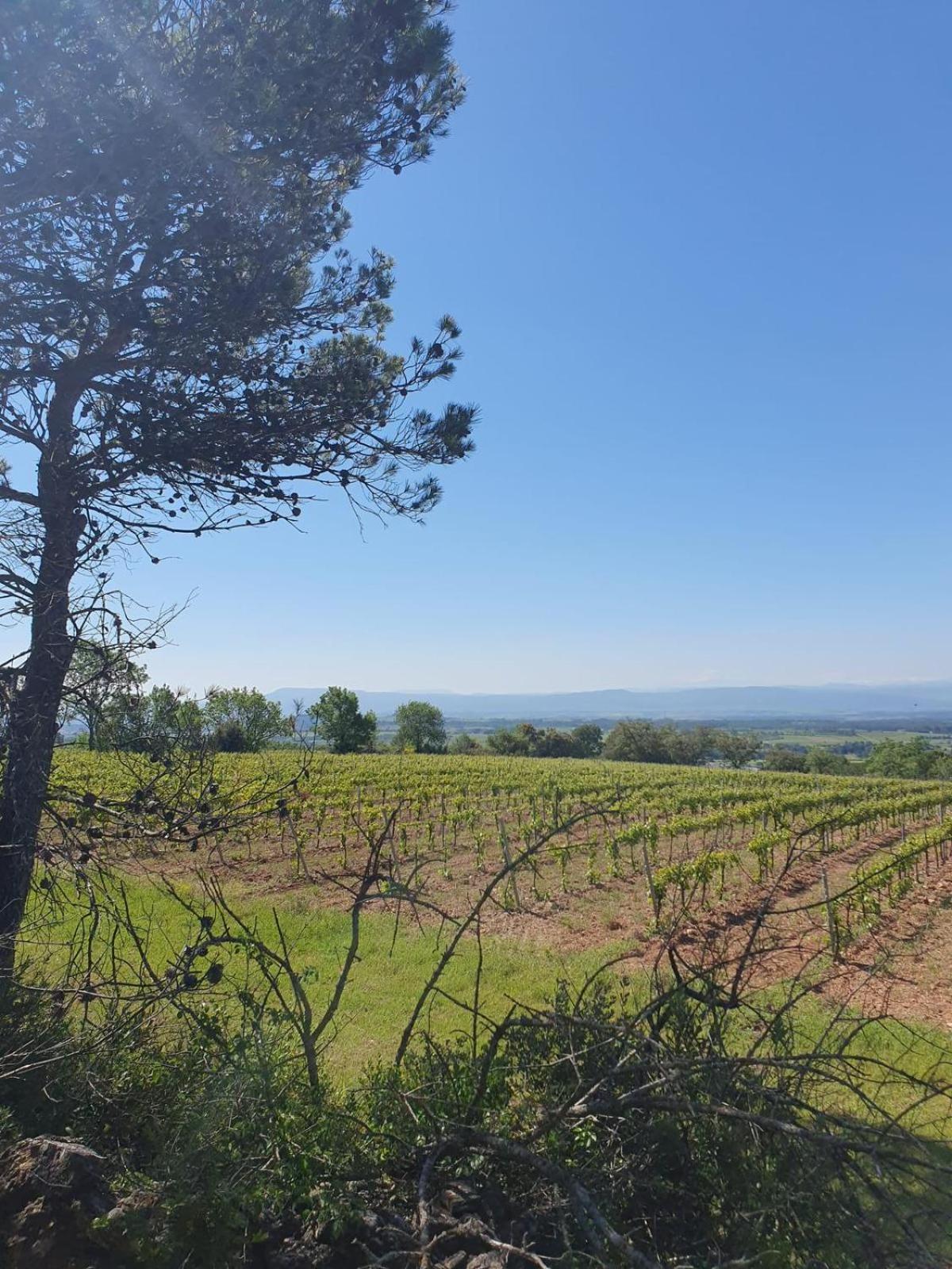 Maison De Charme Caunes-Minervois Exterior photo
